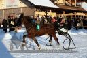 Dateiname=20171226_r09_015_R09_0037.jpg
Dateigröße=134KB
Abmessungen: 750x500
hinzugefügt am: 27. Dezember 2017 20171226_r09_015_R09_0037.jpg