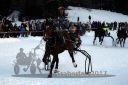 Dateiname=20171226_r09_046_R09_0097.jpg
Dateigröße=103KB
Abmessungen: 750x500
hinzugefügt am: 27. Dezember 2017 20171226_r09_046_R09_0097.jpg