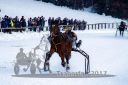 Dateiname=20171226_r09_061_R09_0123.jpg
Dateigröße=103KB
Abmessungen: 750x500
hinzugefügt am: 27. Dezember 2017 20171226_r09_061_R09_0123.jpg