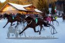 Dateiname=20171226_r09_083_R09_0156.jpg
Dateigröße=124KB
Abmessungen: 750x500
hinzugefügt am: 27. Dezember 2017 20171226_r09_083_R09_0156.jpg