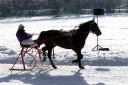 Dateiname=20171226_ja1_029_IMG_0090.jpg
Dateigröße=114KB
Abmessungen: 750x500
hinzugefügt am: 27. Dezember 2017 20171226_ja1_029_IMG_0090.jpg