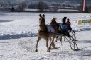 Dateiname=20171226_ja1_044_IMG_0132.jpg
Dateigröße=149KB
Abmessungen: 750x500
hinzugefügt am: 27. Dezember 2017 20171226_ja1_044_IMG_0132.jpg