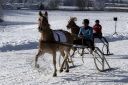 Dateiname=20171226_ja1_045_IMG_0134.jpg
Dateigröße=152KB
Abmessungen: 750x500
hinzugefügt am: 27. Dezember 2017 20171226_ja1_045_IMG_0134.jpg