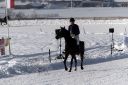 Dateiname=20171226_ja2_032_IMG_0106.jpg
Dateigröße=114KB
Abmessungen: 750x500
hinzugefügt am: 27. Dezember 2017 20171226_ja2_032_IMG_0106.jpg