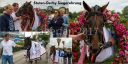Dateiname=fobu_derby_berlin_2017_22.jpg
Dateigröße=289KB
Abmessungen: 1449x725
hinzugefügt am: 13. September 2017 fobu_derby_berlin_2017_22.jpg