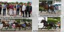 Dateiname=fobu_derby_berlin_2017_23.jpg
Dateigröße=284KB
Abmessungen: 1449x725
hinzugefügt am: 13. September 2017 fobu_derby_berlin_2017_23.jpg
