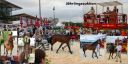 Dateiname=fobu_derby_berlin_2017_24.jpg
Dateigröße=288KB
Abmessungen: 1449x725
hinzugefügt am: 13. September 2017 fobu_derby_berlin_2017_24.jpg
