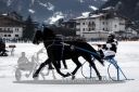 Dateiname=20180101_r01_010_R01_0026.jpg
Dateigröße=100KB
Abmessungen: 750x500
hinzugefügt am: 02. Januar 2018 20180101_r01_010_R01_0026.jpg