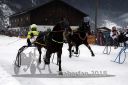 Dateiname=20180101_r01_020_R01_0044.jpg
Dateigröße=105KB
Abmessungen: 750x500
hinzugefügt am: 02. Januar 2018 20180101_r01_020_R01_0044.jpg