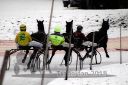 Dateiname=20180101_r01_023_R01_0051.jpg
Dateigröße=113KB
Abmessungen: 750x500
hinzugefügt am: 02. Januar 2018 20180101_r01_023_R01_0051.jpg