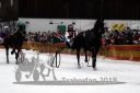 Dateiname=20180101_r01_089_R01_0157.jpg
Dateigröße=98KB
Abmessungen: 750x500
hinzugefügt am: 02. Januar 2018 20180101_r01_089_R01_0157.jpg
