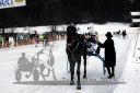 Dateiname=20180101_r01_102_R01_0183.jpg
Dateigröße=101KB
Abmessungen: 750x500
hinzugefügt am: 02. Januar 2018 20180101_r01_102_R01_0183.jpg