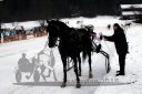 Dateiname=20180101_r01_104_R01_0186.jpg
Dateigröße=101KB
Abmessungen: 750x500
hinzugefügt am: 02. Januar 2018 20180101_r01_104_R01_0186.jpg