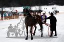Dateiname=20180101_r01_106_R01_0191.jpg
Dateigröße=105KB
Abmessungen: 750x500
hinzugefügt am: 02. Januar 2018 20180101_r01_106_R01_0191.jpg