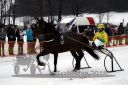 Dateiname=20180101_r02_004_R02_0008.jpg
Dateigröße=112KB
Abmessungen: 750x500
hinzugefügt am: 02. Januar 2018 20180101_r02_004_R02_0008.jpg