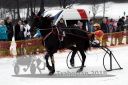 Dateiname=20180101_r02_005_R02_0009.jpg
Dateigröße=114KB
Abmessungen: 750x500
hinzugefügt am: 02. Januar 2018 20180101_r02_005_R02_0009.jpg