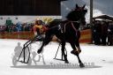 Dateiname=20180101_r02_024_R02_0042.jpg
Dateigröße=96KB
Abmessungen: 750x500
hinzugefügt am: 02. Januar 2018 20180101_r02_024_R02_0042.jpg