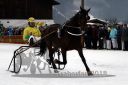 Dateiname=20180101_r02_028_R02_0049.jpg
Dateigröße=95KB
Abmessungen: 750x500
hinzugefügt am: 02. Januar 2018 20180101_r02_028_R02_0049.jpg
