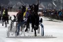 Dateiname=20180101_r02_062_R02_0113.jpg
Dateigröße=94KB
Abmessungen: 750x500
hinzugefügt am: 02. Januar 2018 20180101_r02_062_R02_0113.jpg