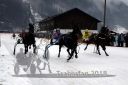 Dateiname=20180101_r02_097_R02_0164.jpg
Dateigröße=91KB
Abmessungen: 750x500
hinzugefügt am: 02. Januar 2018 20180101_r02_097_R02_0164.jpg