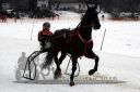 Dateiname=20180101_r04_004_R04_0010.jpg
Dateigröße=97KB
Abmessungen: 750x500
hinzugefügt am: 02. Januar 2018 20180101_r04_004_R04_0010.jpg