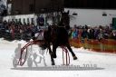 Dateiname=20180101_r04_067_R04_0125.jpg
Dateigröße=92KB
Abmessungen: 750x500
hinzugefügt am: 02. Januar 2018 20180101_r04_067_R04_0125.jpg