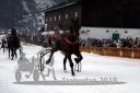Dateiname=20180101_r04_076_R04_0139.jpg
Dateigröße=83KB
Abmessungen: 750x500
hinzugefügt am: 02. Januar 2018 20180101_r04_076_R04_0139.jpg