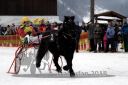 Dateiname=20180101_r05_028_R05_0008.jpg
Dateigröße=92KB
Abmessungen: 750x500
hinzugefügt am: 02. Januar 2018 20180101_r05_028_R05_0008.jpg