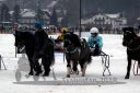 Dateiname=20180101_r05_048_R05_0038.jpg
Dateigröße=107KB
Abmessungen: 750x500
hinzugefügt am: 02. Januar 2018 20180101_r05_048_R05_0038.jpg