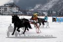 Dateiname=20180101_r05_086_R05_0088.jpg
Dateigröße=116KB
Abmessungen: 750x500
hinzugefügt am: 02. Januar 2018 20180101_r05_086_R05_0088.jpg