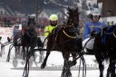 Dateiname=20180101_r06_044_R06_0101.jpg
Dateigröße=111KB
Abmessungen: 750x500
hinzugefügt am: 02. Januar 2018 20180101_r06_044_R06_0101.jpg