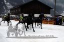 Dateiname=20180101_r06_083_R06_0172.jpg
Dateigröße=104KB
Abmessungen: 750x500
hinzugefügt am: 02. Januar 2018 20180101_r06_083_R06_0172.jpg