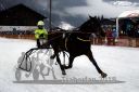 Dateiname=20180101_r06_089_R06_0179.jpg
Dateigröße=97KB
Abmessungen: 750x500
hinzugefügt am: 02. Januar 2018 20180101_r06_089_R06_0179.jpg