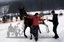 Dateiname=20180101_r06_094_R06_0199.jpg
Dateigröße=98KB
Abmessungen: 750x500
hinzugefügt am: 02. Januar 2018 20180101_r06_094_R06_0199.jpg