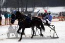 Dateiname=20180101_r06_118_R06_0250.jpg
Dateigröße=106KB
Abmessungen: 750x500
hinzugefügt am: 02. Januar 2018 20180101_r06_118_R06_0250.jpg