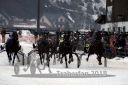 Dateiname=20180101_r07_023_R07_0050.jpg
Dateigröße=110KB
Abmessungen: 750x500
hinzugefügt am: 02. Januar 2018 20180101_r07_023_R07_0050.jpg