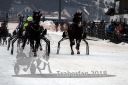 Dateiname=20180101_r07_039_R07_0081.jpg
Dateigröße=107KB
Abmessungen: 750x500
hinzugefügt am: 02. Januar 2018 20180101_r07_039_R07_0081.jpg