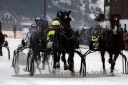 Dateiname=20180101_r07_053_R07_0109.jpg
Dateigröße=110KB
Abmessungen: 750x500
hinzugefügt am: 02. Januar 2018 20180101_r07_053_R07_0109.jpg