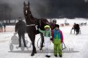 Dateiname=20180101_r07_109_R07_0218.jpg
Dateigröße=94KB
Abmessungen: 750x500
hinzugefügt am: 02. Januar 2018 20180101_r07_109_R07_0218.jpg