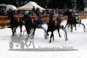 Dateiname=20140118_r01_047_R01_0055.jpg
Dateigröße=216KB
Abmessungen: 750x500
hinzugefügt am: 15. Januar 2018 20140118_r01_047_R01_0055.jpg