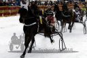 Dateiname=20140118_r02_042_R02_0069.jpg
Dateigröße=211KB
Abmessungen: 750x500
hinzugefügt am: 15. Januar 2018 20140118_r02_042_R02_0069.jpg