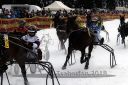 Dateiname=20140118_r02_044_R02_0073.jpg
Dateigröße=241KB
Abmessungen: 750x500
hinzugefügt am: 15. Januar 2018 20140118_r02_044_R02_0073.jpg