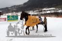 Dateiname=20140118_r02_097_R02_0043.jpg
Dateigröße=192KB
Abmessungen: 750x500
hinzugefügt am: 15. Januar 2018 20140118_r02_097_R02_0043.jpg
