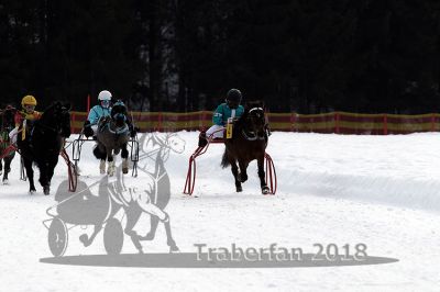 20140118_r03_051_R03_0074.jpg