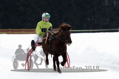 20140118_r03_079_R03_0113.jpg