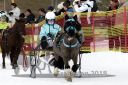 Dateiname=20140118_r03_009_R03_0005.jpg
Dateigröße=256KB
Abmessungen: 750x500
hinzugefügt am: 15. Januar 2018 20140118_r03_009_R03_0005.jpg