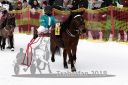 Dateiname=20140118_r03_020_R03_0026.jpg
Dateigröße=246KB
Abmessungen: 750x500
hinzugefügt am: 15. Januar 2018 20140118_r03_020_R03_0026.jpg