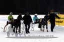 Dateiname=20140118_r03_027_R03_0038.jpg
Dateigröße=167KB
Abmessungen: 750x500
hinzugefügt am: 15. Januar 2018 20140118_r03_027_R03_0038.jpg