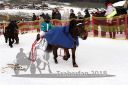 Dateiname=20140118_r03_125_R03_0064.jpg
Dateigröße=231KB
Abmessungen: 750x500
hinzugefügt am: 15. Januar 2018 20140118_r03_125_R03_0064.jpg