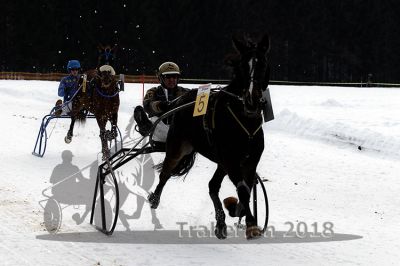20140118_r04_028_R04_0037.jpg
